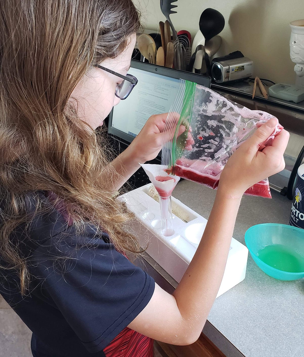 DNA Extraction