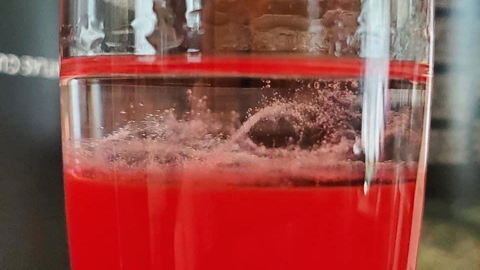 Extracted DNA
