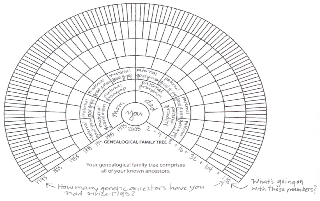 ancestry chart